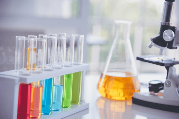 lab